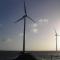 der 2. cache the WindmillCache